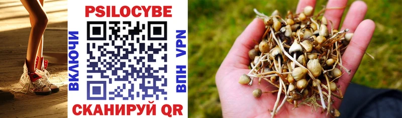 Галлюциногенные грибы Psilocybine cubensis  Купить  Саратов 